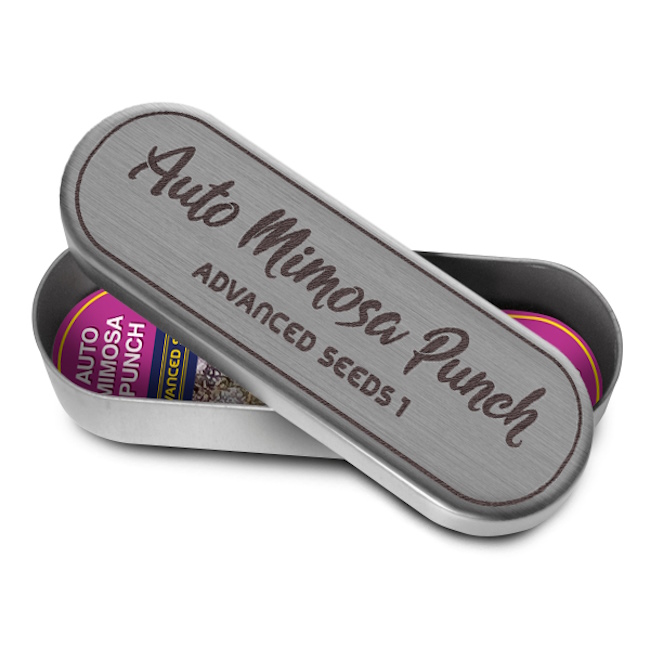 152156_1005774_pimcore