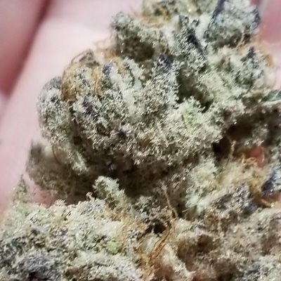 165145_2602176_pimcore_1_1