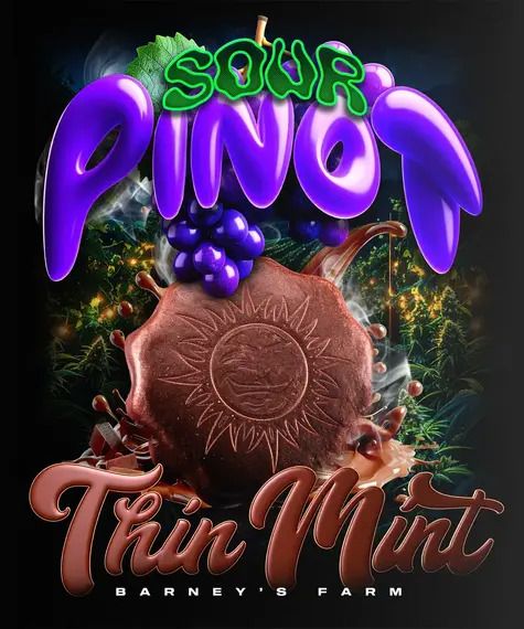 166931_2628424_pimcore_1_1