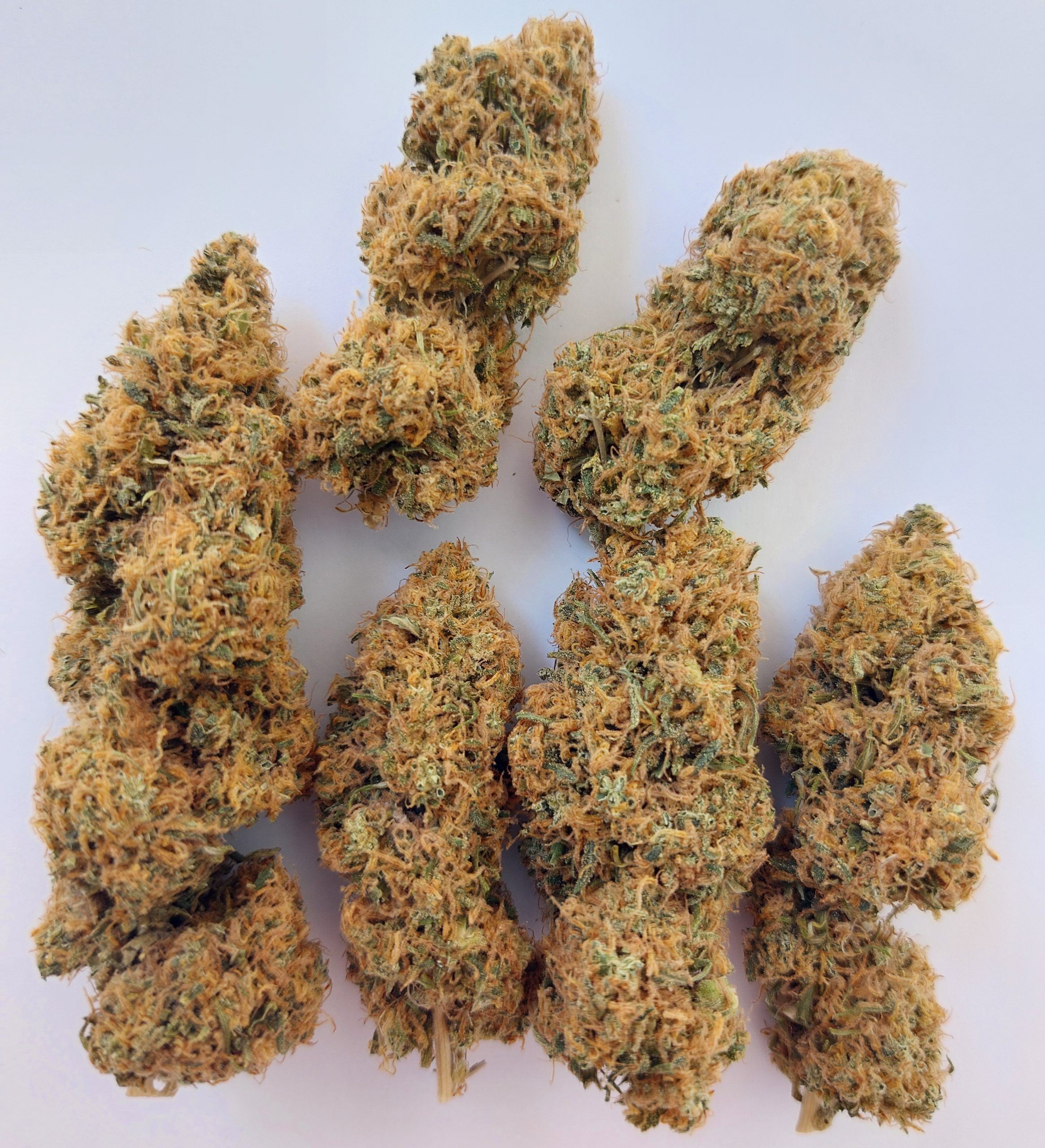 171027_2653280_pimcore_1_1