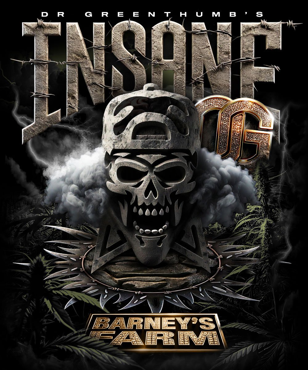 Insane OG Feminised by Barney’s Farm